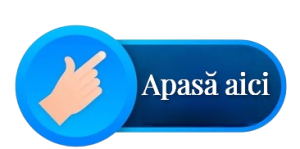 nnvbv__1___1_-removebg-preview